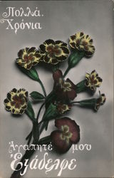 Birthday postcard Postcard