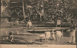 Een Inlandsche Waschman. Postcard
