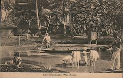 Een Inlandsche Waschman. Java South Pacific Postcard Postcard Postcard