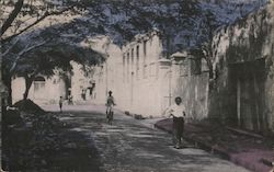 San Francisco Park. Panama Postcard