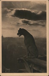 Notre Dame Cathederal at Sunset Postcard