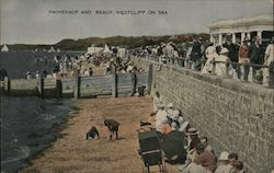 Promenade and beach. Westcliff on sea Westcliff-on-sea, UK Postcard Postcard Postcard