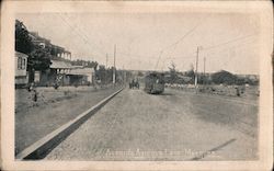 Avenida Aquiqua Lour Marques Postcard