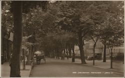 Cheltenham. Promenade Postcard