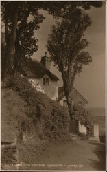 Shelley's Cottage Postcard