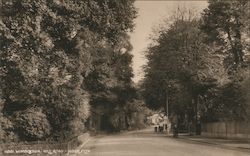 Wimbledon Hill Road Postcard