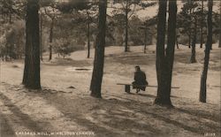 Caesars Well, Wimbledon common Postcard