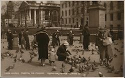 Feeding the Pigeons in Trafalgar Square Postcard