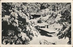 Winter Scene Near Tehachapi, Calif. Postcard