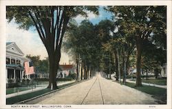 North Main Street Wallingford, CT Postcard Postcard Postcard