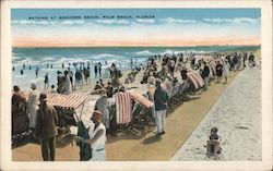 Bathing at Breakers Beach Postcard