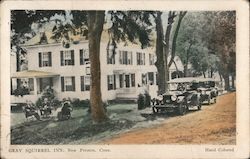 Gray Squirrel Inn Postcard