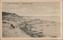 A View of the Beach Dennis Port, MA Postcard Postcard Postcard