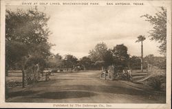 Drive at Golf Links, Brackenridge Park Postcard