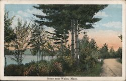 Scene near Wales, Mass. Postcard