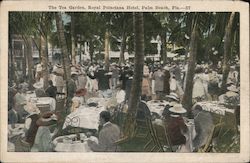 The Tea Garden, Royal Poinciana Hotel Palm Beach, FL Postcard Postcard Postcard