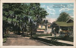 Residential Section, East University Avenue Postcard