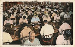 One of Many Cigar Factories in Tampa Postcard