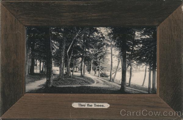 Thro The Trees Winsted Connecticut