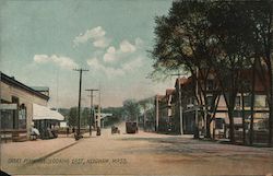 Great Plain Avenue, Looking East Postcard