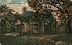 Old Witch House, Pigeon Cave Postcard