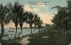 South End of Narcissus Street Postcard