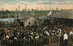 Sponge Exchange Postcard