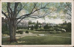 The Arboretum Ipswich Postcard