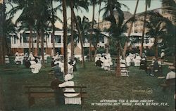 Afternoon Tea & Band Concert In the Cocoa Nut Grove Postcard