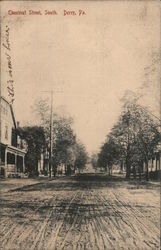 Chestnut Street, South Postcard