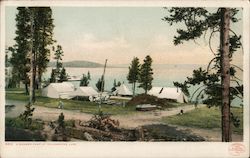 A Summer Camp at Yellowstone Lake Yellowstone National Park, WY Postcard Postcard Postcard