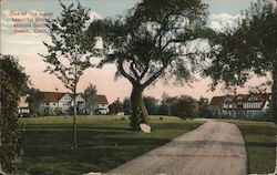 One of the Many Beautiful Drives Around Town, Sound Beach Greenwich, CT Postcard Postcard Postcard