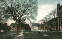 Yale Campus Postcard