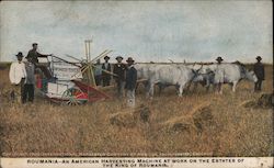 Roumania-An American Harvesting Machine at Work on the Estates of The King of Roumania. Postcard