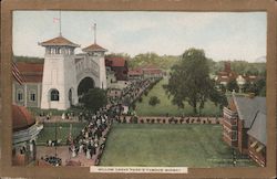 Willow Grove Park's Famous Midway Postcard