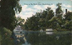 Scene on Big Muddy River Murphysboro, IL Postcard Postcard Postcard