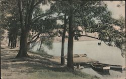 Lovers Lane, Riverview Park Postcard