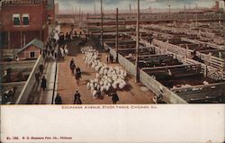 Exchange Avenue, Stock Yards Postcard