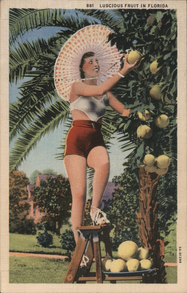 Luscious Fruit in Florida - Woman on Ladder Picking Grapefruit