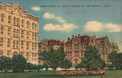 Campus View of St. Mary's University Postcard