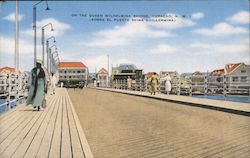 On the Queen Wilhelmina Bridge Postcard