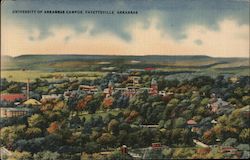 University of Arkansas Campu, Fayetteville, Arkansas Postcard