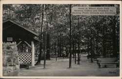 Scene in Elliott State Park Postcard