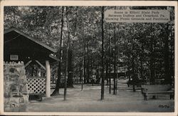 Scene in Elliott State Park Penfield, PA Postcard Postcard Postcard