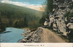 Youngsville, N.Y. New York Postcard Postcard 