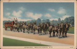 Genesee Twelve Horse Ale Postcard