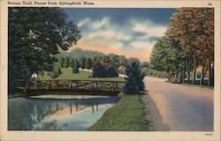 Nature Trail, Forest Park, Springfield, Mass. Postcard