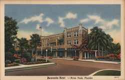 Jacaranda Hotel Postcard