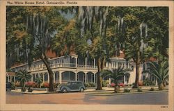 The White House Hotel Postcard