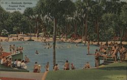 Sanlando Springs Tropical Park Postcard